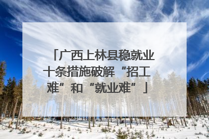 广西上林县稳就业十条措施破解“招工难”和“就业难”