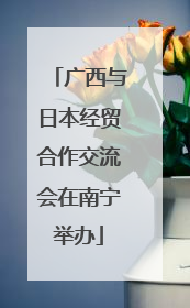 广西与日本经贸合作交流会在南宁举办