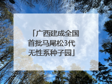 广西建成全国首批马尾松3代无性系种子园