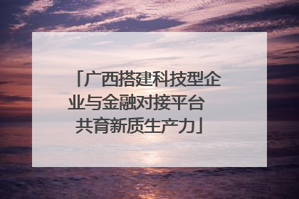 广西搭建科技型企业与金融对接平台 共育新质生产力