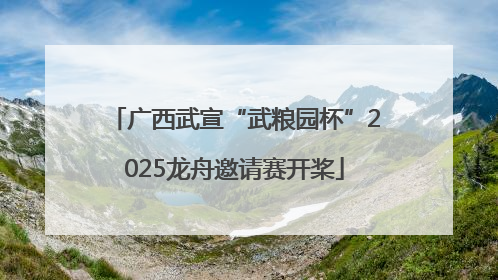 广西武宣“武粮园杯”2025龙舟邀请赛开桨