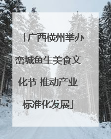 广西横州举办峦城鱼生美食文化节 推动产业标准化发展