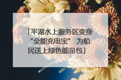 平湖水上服务区变身“全能充电宝” 为船民送上绿色能量包