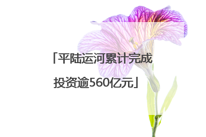 平陆运河累计完成投资逾560亿元