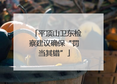 平顶山卫东检察建议确保“罚当其错”