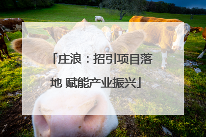 庄浪：招引项目落地 赋能产业振兴
