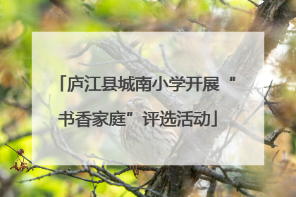 庐江县城南小学开展“书香家庭”评选活动