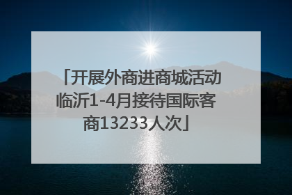 开展外商进商城活动 临沂1-4月接待国际客商13233人次
