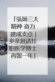 弘扬三大精神 奋力建成支点｜乡亲恳请挂职医学博士再留一年