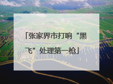 张家界市打响“黑飞”处理第一枪