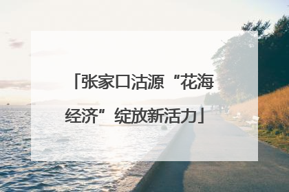 张家口沽源“花海经济”绽放新活力