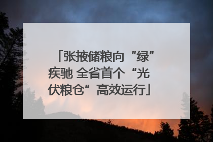 张掖储粮向“绿”疾驰 全省首个“光伏粮仓”高效运行