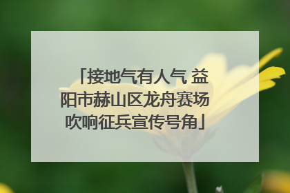 接地气有人气 益阳市赫山区龙舟赛场吹响征兵宣传号角