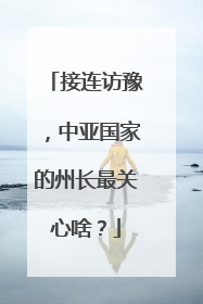 接连访豫，中亚国家的州长最关心啥？