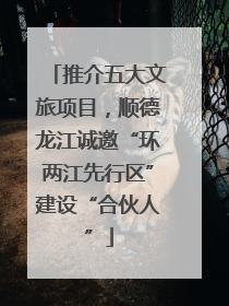 推介五大文旅项目，顺德龙江诚邀“环两江先行区”建设“合伙人”