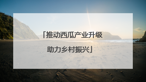 推动西瓜产业升级 助力乡村振兴