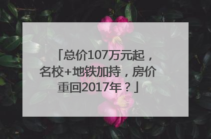 总价107万元起，名校+地铁加持，房价重回2017年？
