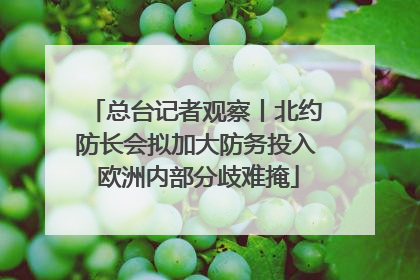 总台记者观察丨北约防长会拟加大防务投入 欧洲内部分歧难掩