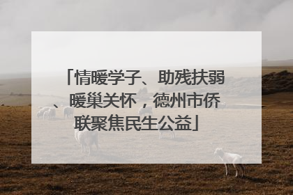 情暖学子、助残扶弱、暖巢关怀，德州市侨联聚焦民生公益