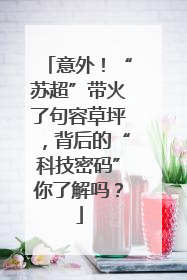 意外！“苏超”带火了句容草坪，背后的“科技密码”你了解吗？