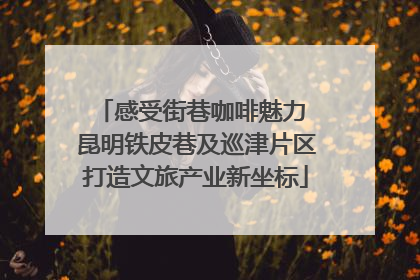 感受街巷咖啡魅力 昆明铁皮巷及巡津片区打造文旅产业新坐标