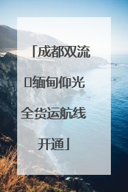 成都双流⇌缅甸仰光全货运航线开通
