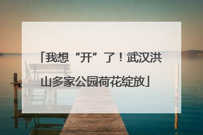 我想“开”了！武汉洪山多家公园荷花绽放