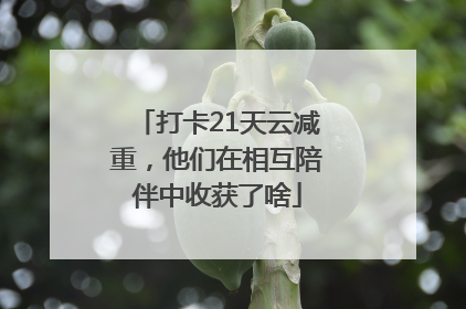 打卡21天云减重，他们在相互陪伴中收获了啥