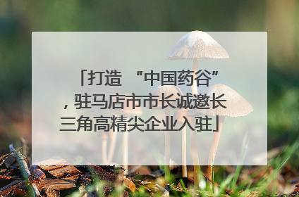 打造 “中国药谷”，驻马店市市长诚邀长三角高精尖企业入驻