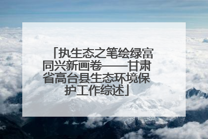 执生态之笔绘绿富同兴新画卷——甘肃省高台县生态环境保护工作综述