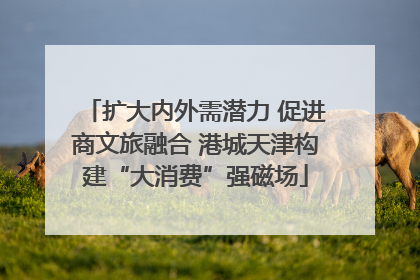 扩大内外需潜力 促进商文旅融合 港城天津构建“大消费”强磁场