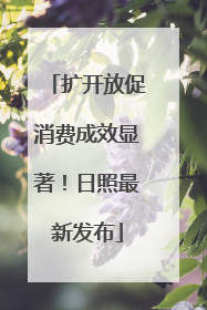 扩开放促消费成效显著！日照最新发布