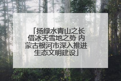 扬绿水青山之长 借冰天雪地之势 内蒙古根河市深入推进生态文明建设