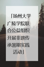 扬州大学广陵学院联合公益组织开展非遗传承暑期实践活动