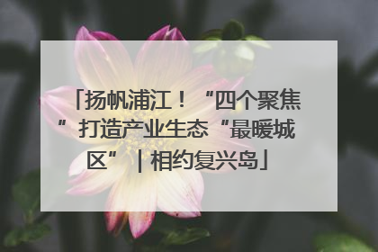 扬帆浦江！“四个聚焦”打造产业生态“最暖城区”｜相约复兴岛