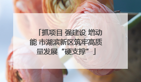 抓项目 强建设 增动能 市湖滨新区筑牢高质量发展“硬支撑”