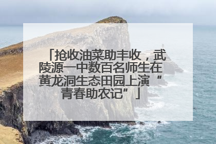 抢收油菜助丰收，武陵源一中数百名师生在黄龙洞生态田园上演“青春助农记”