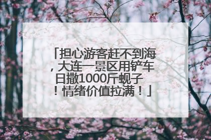 担心游客赶不到海，大连一景区用铲车日撒1000斤蚬子！情绪价值拉满！