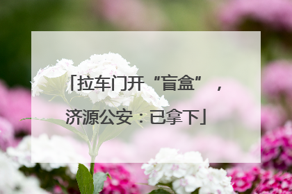 拉车门开“盲盒”，济源公安：已拿下