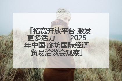 拓宽开放平台 激发更多活力——2025年中国·廊坊国际经济贸易洽谈会观察