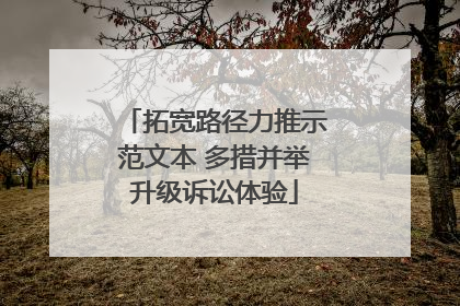 拓宽路径力推示范文本 多措并举升级诉讼体验