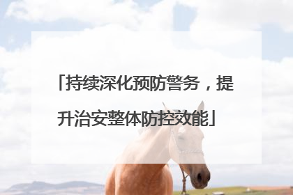 持续深化预防警务，提升治安整体防控效能