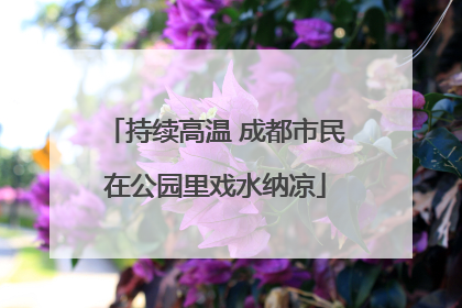 持续高温 成都市民在公园里戏水纳凉