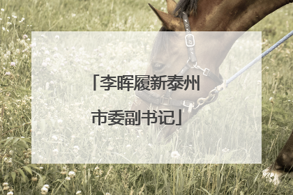 李晖履新泰州市委副书记