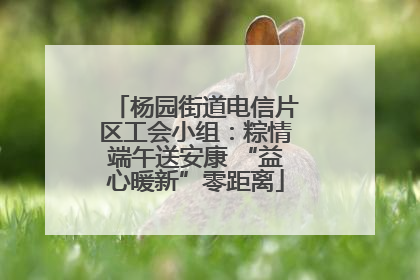 杨园街道电信片区工会小组：粽情端午送安康 “益心暖新”零距离