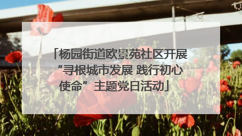 杨园街道欧景苑社区开展“寻根城市发展 践行初心使命”主题党日活动