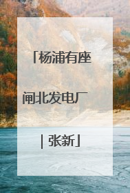 杨浦有座闸北发电厂｜张新