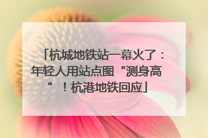 杭城地铁站一幕火了：年轻人用站点图“测身高”！杭港地铁回应