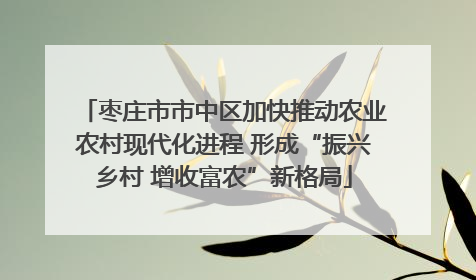 枣庄市市中区加快推动农业农村现代化进程 形成“振兴乡村 增收富农”新格局