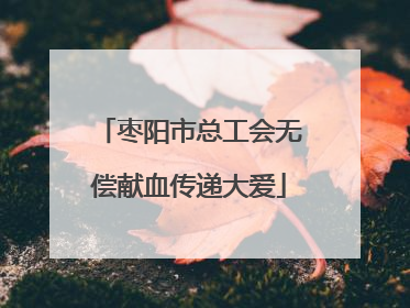 枣阳市总工会无偿献血传递大爱